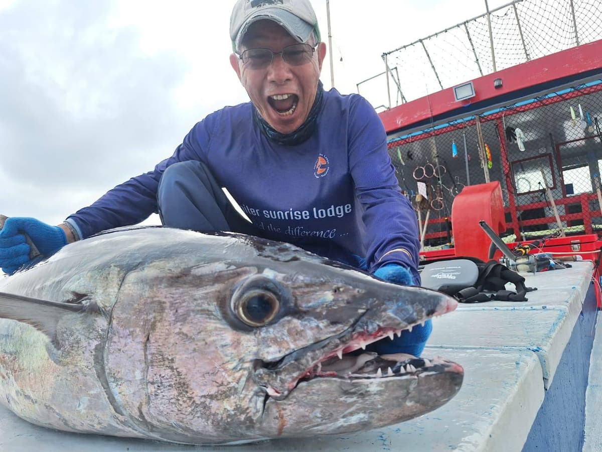 Snapper Target Package