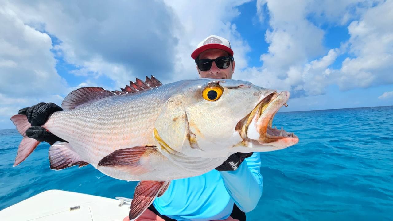 Night Snapper Session