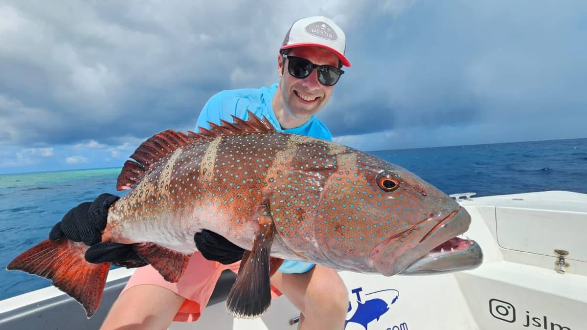 Kingfish Speed Trolling