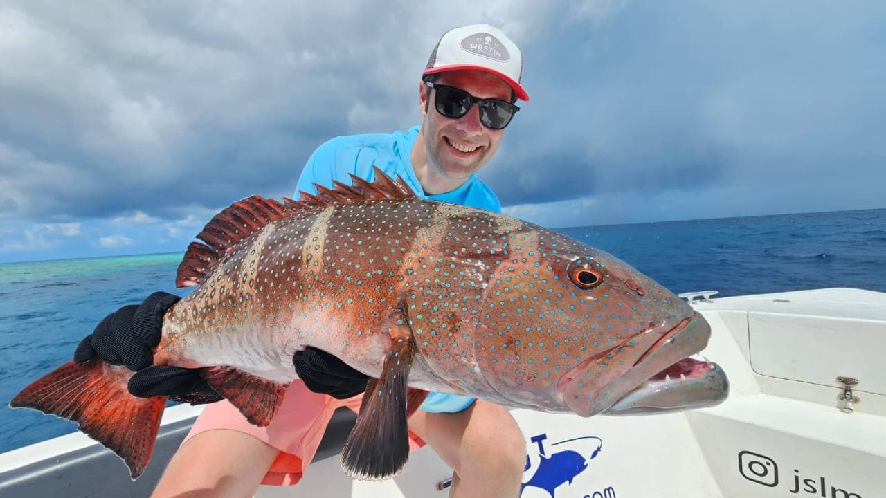 Kingfish Speed Trolling