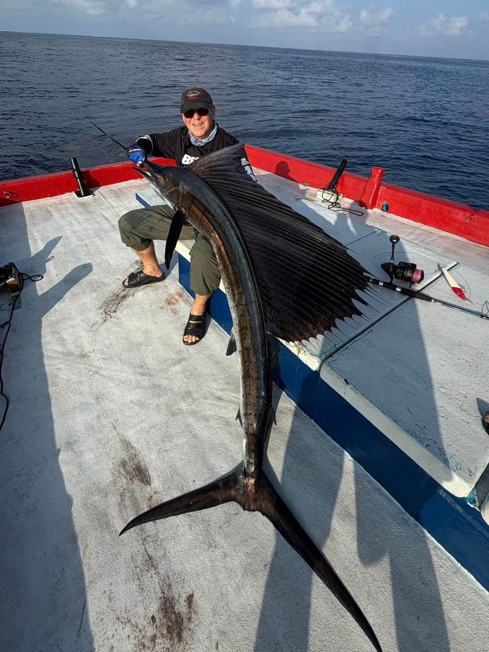 Big game: Sailfish