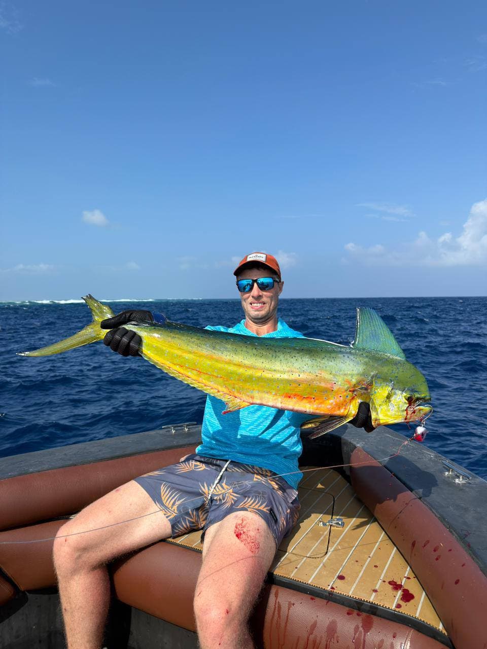 Hogfish catch preview