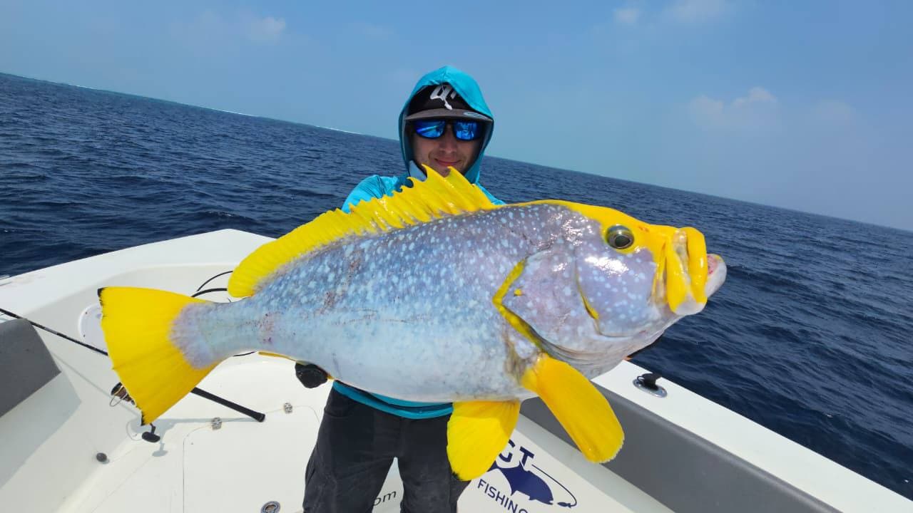 Fishing charter boat cruising through open water